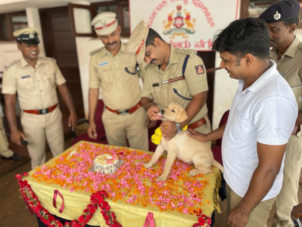 The new sniffer is a three-month-old female Labrador Retriever. (Pic source: Twitter/Kiran Parashar) The new sniffer is a three-month-old female Labrador Retriever. (Pic source: Twitter/Kiran Parashar)