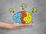 Study: How does our brain process and store movement?