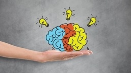 Study: How does our brain process and store movement?