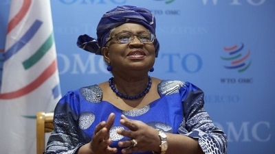 WTO Director-General Ngozi Okonjo-Iweala (Reuters file photo)