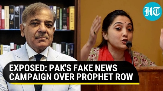 EXPOSED: PAK'S FAKE NEWS CAMPAIGN OVER PROPHET ROW