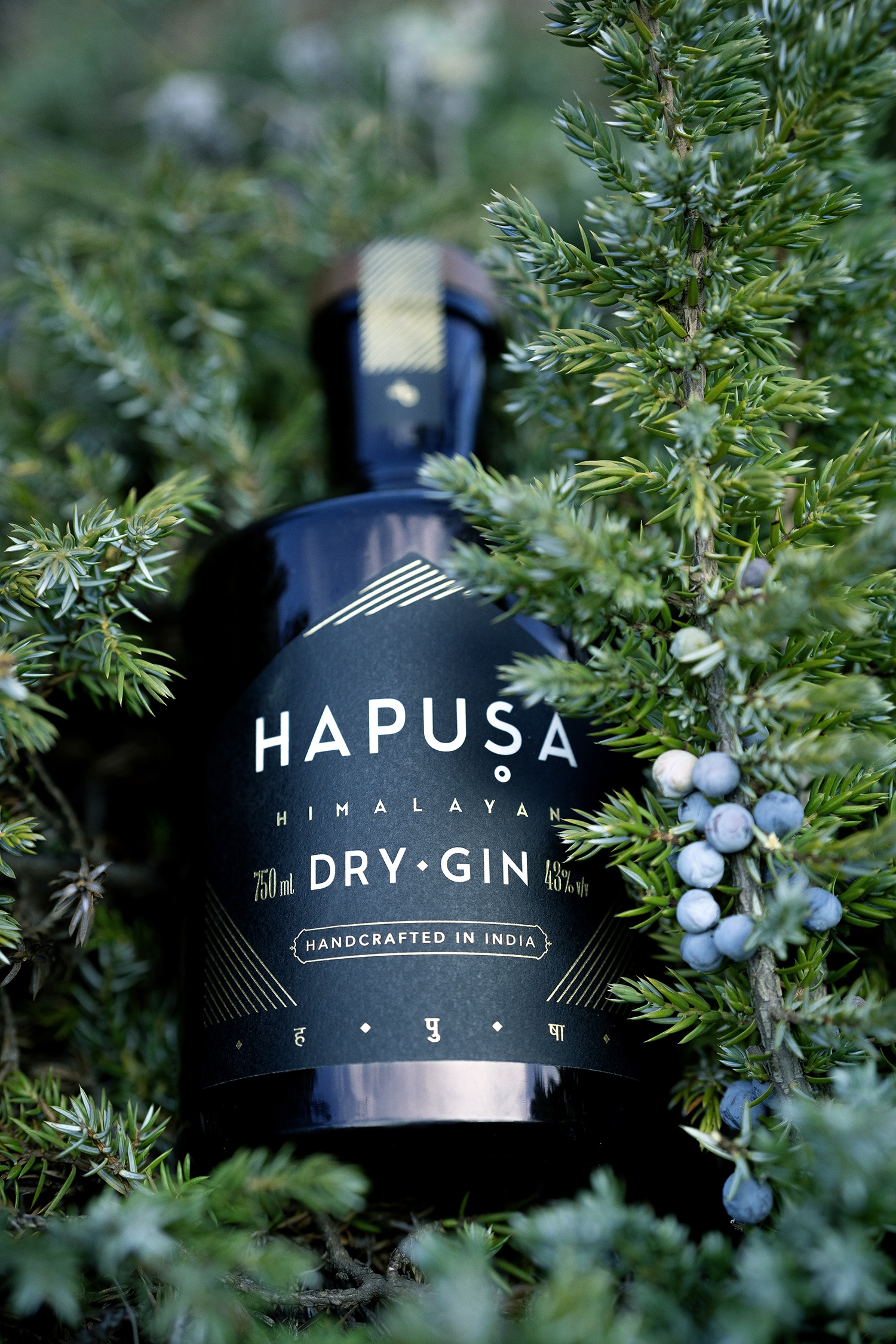 Hapusa Himalayan Dry Gin.