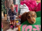 The boy's reaction on getting a dog that he had been asking for is heartening to watch. (ourlayeredhome/Instagram) The boy's reaction on getting a dog that he had been asking for is heartening to watch. (ourlayeredhome/Instagram)
