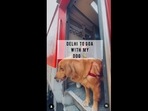 A screengrab of the video of a woman travelling with her dog on a train. (aarushisharmak/Instagram) A screengrab of the video of a woman travelling with her dog on a train. (aarushisharmak/Instagram)
