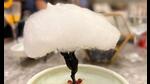 Nature, a dessert at House of Ming, Taj Mahal is made with candy floss and chocolate. Nature, a dessert at House of Ming, Taj Mahal is made with candy floss and chocolate.