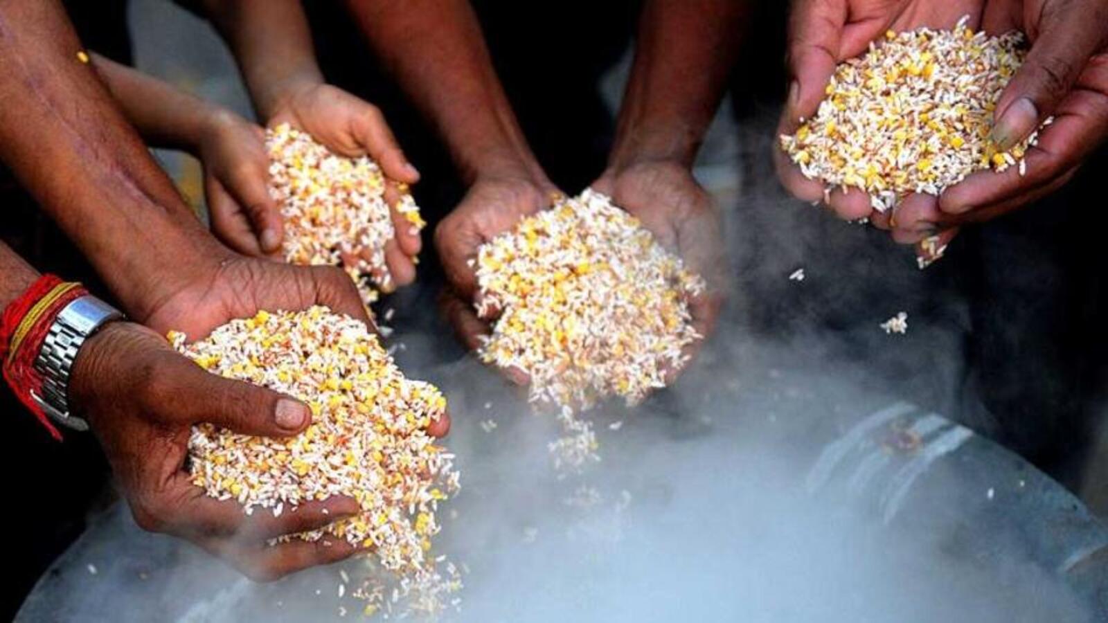 ‘Benefits outweigh risks’: Govt rejects reports about harms of fortified rice