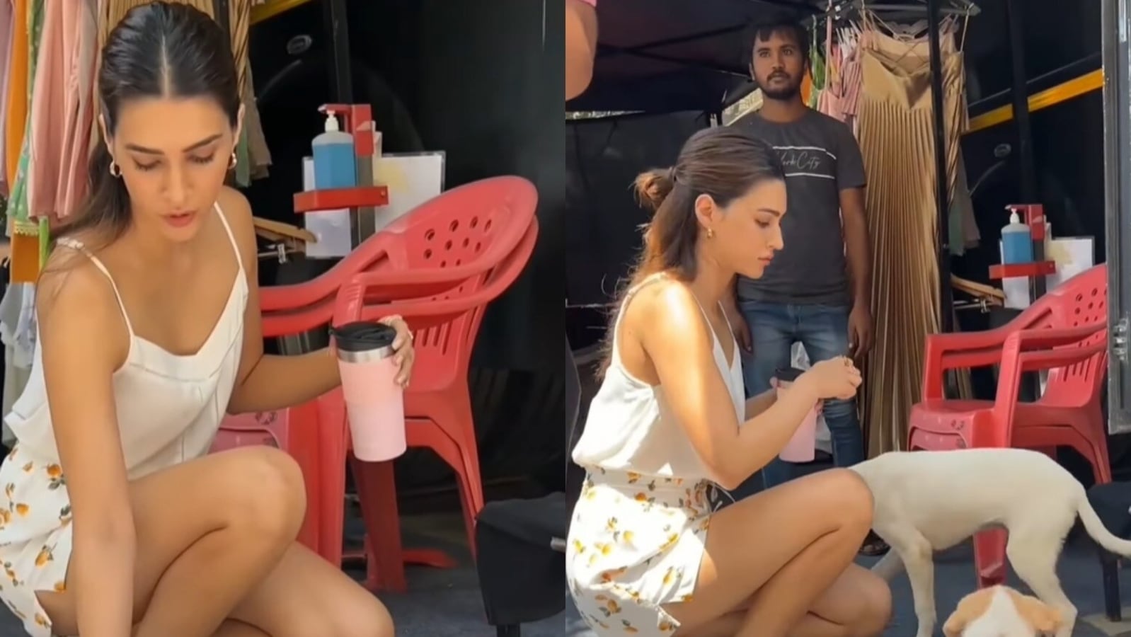Kriti Sanon feeds stray dogs on sets of her next film, fans call her ‘kind-hearted’. Watch video