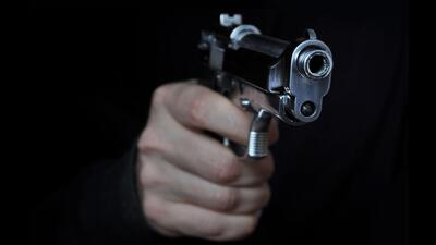 The robbers thrashed and held two employees of the dairy farm at gunpoint and stole the buffaloes. (Getty Images/iStockphoto)
