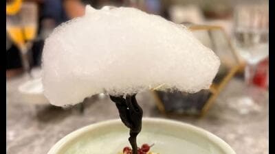 Nature, a dessert at House of Ming, Taj Mahal is made with candy floss and chocolate. Nature, a dessert at House of Ming, Taj Mahal is made with candy floss and chocolate.