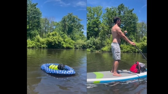 A screengrab from the video of a dog relaxing in a float while its human canoes. (honeypiethedog/Instagram) A screengrab from the video of a dog relaxing in a float while its human canoes. (honeypiethedog/Instagram)