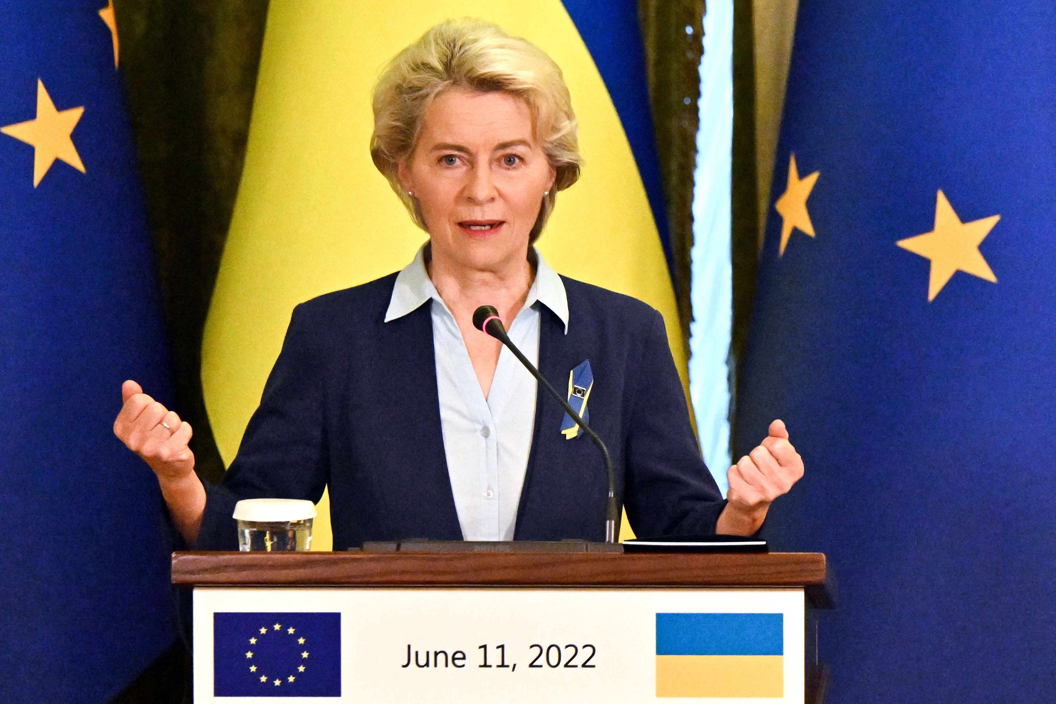 European Commission President Ursula von der Leyen makes a statement following talks with Ukrainian President in Kyiv on June 11, 2022. (AFP) European Commission President Ursula von der Leyen makes a statement following talks with Ukrainian President in Kyiv on June 11, 2022. (AFP)