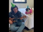 Instagram-famous Doug the Pug’s with his mom who wrote a birthday song for him. Instagram-famous Doug the Pug’s with his mom who wrote a birthday song for him. 