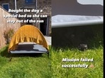 A screengrab of the video of a dog who was bought a new bed by her human. (emily.childs/Instagram) A screengrab of the video of a dog who was bought a new bed by her human. (emily.childs/Instagram)