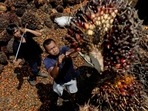 India's May palm oil imports drop 10% as Indonesia curbs exports: Trade body (Reuters) India's May palm oil imports drop 10% as Indonesia curbs exports: Trade body (Reuters)