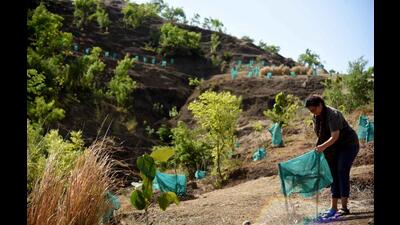 A resident works towards restoration of Kharghar hill. Kharghar Sector 35 residents and environmentalists come together to conserve nature and bring green cover to the hill. (BACHCHAN KUMAR/HT PHOTO)