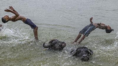 Two boys swim with buffaloes in the Hooghly river to beat the heat in West Bengal. (PTI Photo)