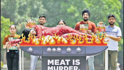 PETA volunteers staging a protest to promote veganism at the Sector-17 Plaza in Chandigarh. (Ravi Kumar/HT)