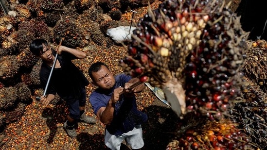 India's May palm oil imports drop 10% as Indonesia curbs exports: Trade body (Reuters)