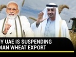 WHY UAE IS SUSPENDING INDIAN WHEAT EXPORT