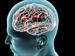 Study: Normal human brain temperature varies much more than previously thought