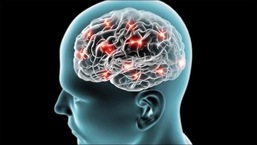 Estudo: A temperatura normal do cérebro humano varia muito mais do que se pensava anteriormente