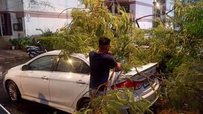 A resident trying to remove tree branches that fell on his car after strong winds in Chandigarh on Wednesday evening. (Ravi Kumar/HT) A resident trying to remove tree branches that fell on his car after strong winds in Chandigarh on Wednesday evening. (Ravi Kumar/HT)