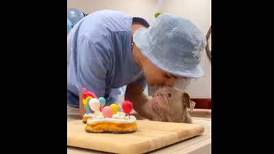 The man gives his pet dog a kiss on his birthday after making him a special cake. (Instagram/@raphael) The man gives his pet dog a kiss on his birthday after making him a special cake. (Instagram/@raphael)