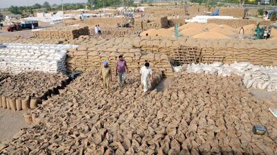 The report submitted by the head office panel alleged that 19,659 bags of wheat crop of 2021-22 and another 4,273 bags of wheat crop of 2022-23 valued at  ₹3.1 crore were found missing. (Representative image)