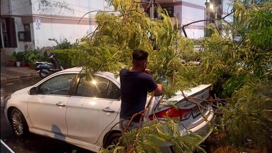 A resident trying to remove tree branches that fell on his car after strong winds in Chandigarh on Wednesday evening. (Ravi Kumar/HT)