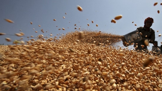 India had on May 14 banned wheat exports except for those backed by already issued letters of credit (LCs) and to countries seeking to ensure food security.(REUTERS)
