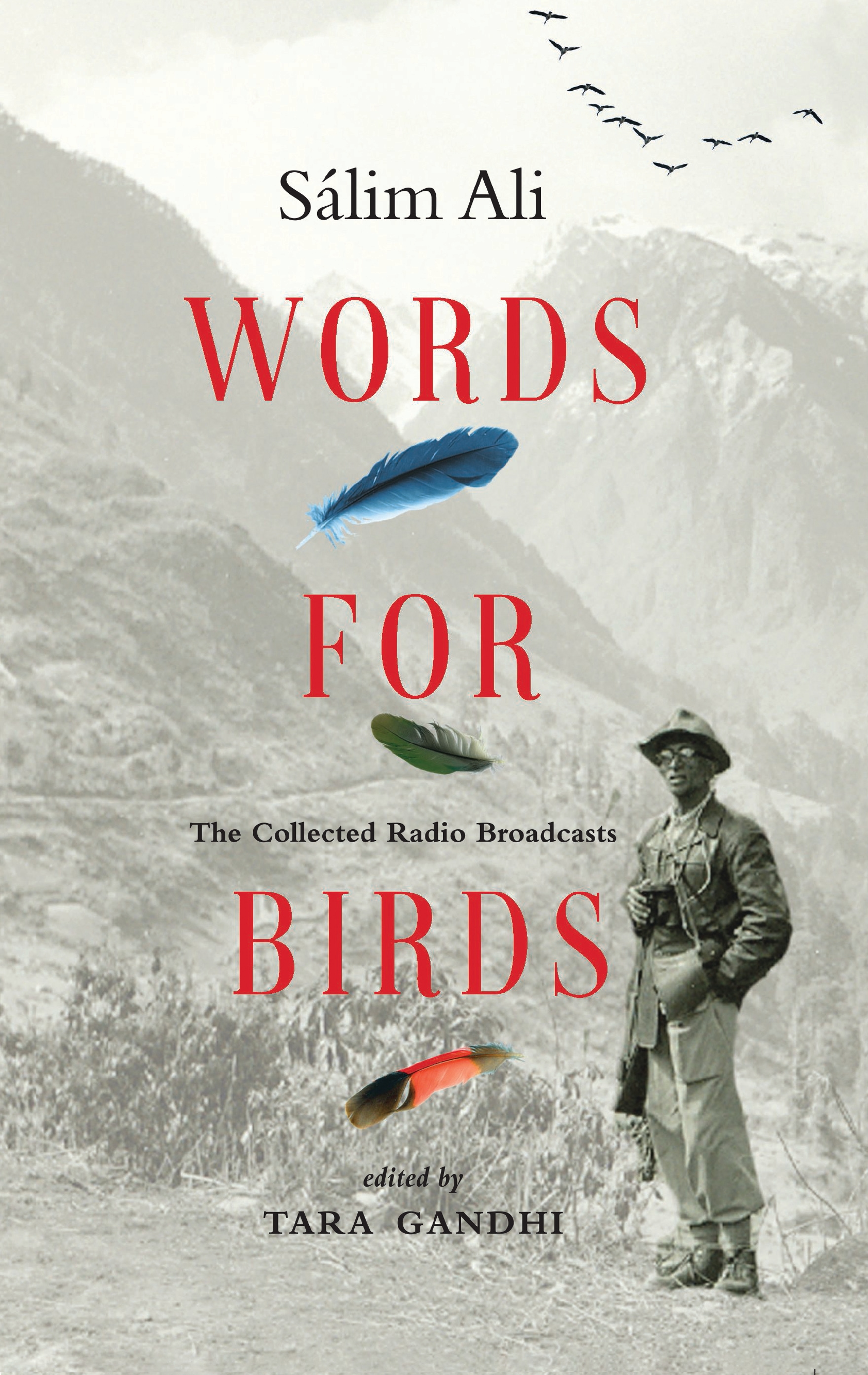 256pp,  ₹599; Black Kite and Hachette India