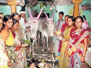 The Kara Hunnime festival was celebrated in Hubli district of Karnataka along with a cattle race. (Source: Sphoorthi Theatre) The Kara Hunnime festival was celebrated in Hubli district of Karnataka along with a cattle race. (Source: Sphoorthi Theatre)