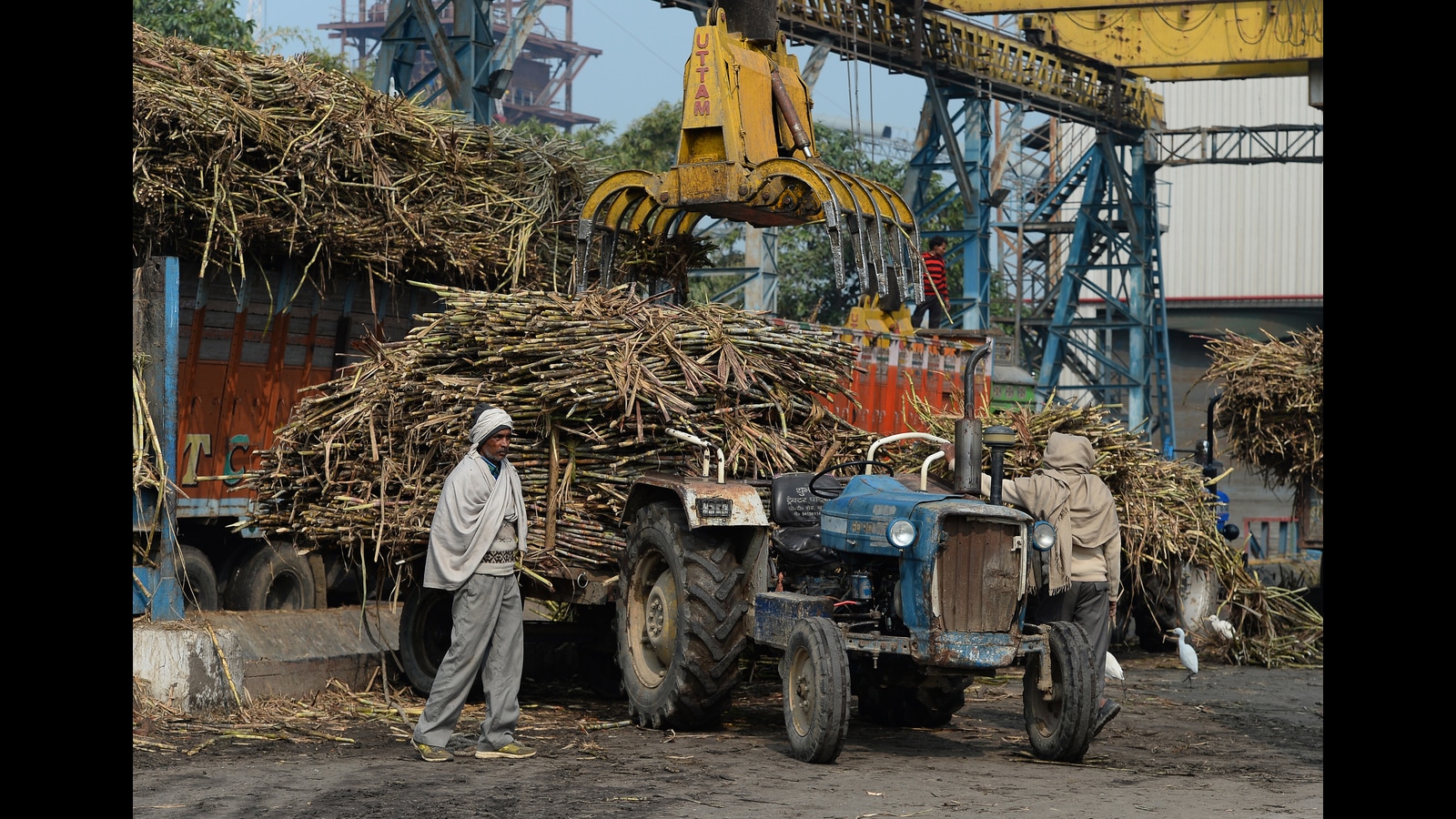 Introduction Of Sugar Industry