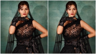 Rubina, a few days back, gave us all the mystic vibes in a black translucent gown with a dramatic veil. (Instagram/@rubinadilaik)
