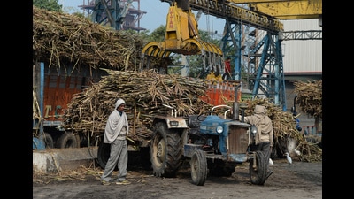 Sugar mills in Maharashtra generated as many as 675.57 crore units of power from their co-generation plants and earned Rs2,428 crore by selling electricity. (REPRESENTATIVE IMAGE) Sugar mills in Maharashtra generated as many as 675.57 crore units of power from their co-generation plants and earned Rs2,428 crore by selling electricity. (REPRESENTATIVE IMAGE)