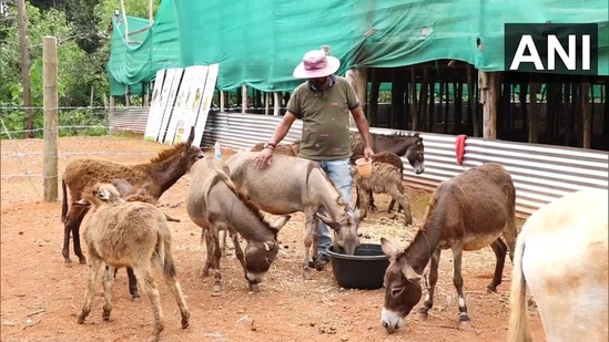 A 42-year-old man quit his IT job to start the first donkey milk farm in Karnataka and received orders worth Rs. 17 lakhs.