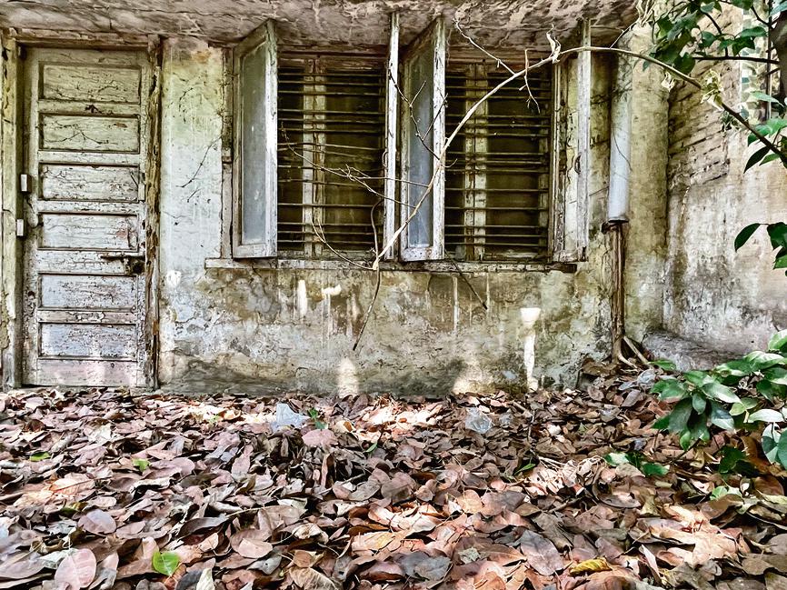 It is said you can see the world in a grain of sand — in the same way, you may see your teeming city in an empty house that once was full of life.