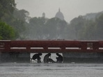 Safdarjung, Delhi’s base weather station, recorded 19.1mm of rainfall from the early hours of Friday till 5.30pm. Safdarjung, Delhi’s base weather station, recorded 19.1mm of rainfall from the early hours of Friday till 5.30pm.