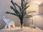Design trends and contemporary India motifs in decor that are a mood this year (Photo by Susan Wilkinson on Unsplash) Design trends and contemporary India motifs in decor that are a mood this year (Photo by Susan Wilkinson on Unsplash)