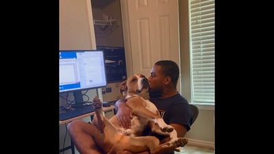 The image, taken from the Instagram video, shows the man and the adopted dog. (Instagram/@harveytherescue)