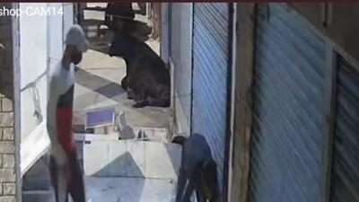 A group of burglars broke into a Ram Darbar departmental shore and decamped with  ₹2.4 lakh. (HT Photo)