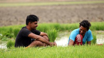 With the mercury hovering around 45°C over the last fortnight, light rain accompanied by gusty winds brought much-needed respite from the sweltering heat in the semi-arid south Malwa region. (Sanjeev Kumar/HT) With the mercury hovering around 45°C over the last fortnight, light rain accompanied by gusty winds brought much-needed respite from the sweltering heat in the semi-arid south Malwa region. (Sanjeev Kumar/HT)