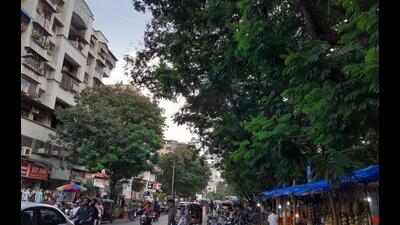 The Panvel City Municipal Corporation has decided to conduct the first ever tree census in its jurisdiction. (HT PHOTO)