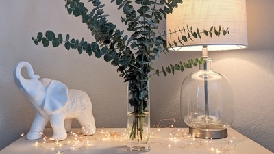Design trends and contemporary India motifs in decor that are a mood this year (Photo by Susan Wilkinson on Unsplash) Design trends and contemporary India motifs in decor that are a mood this year (Photo by Susan Wilkinson on Unsplash)