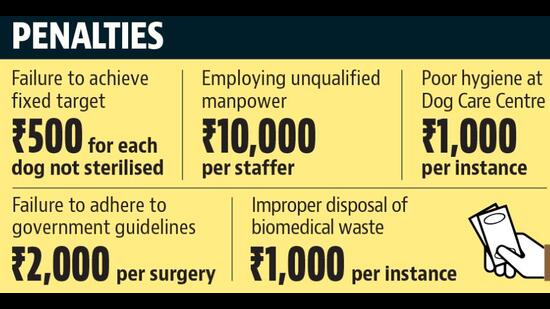 Chandigarh MC has put in place stringent conditions in the contract to verify the sterilisation claims of the contractor. (HT) Chandigarh MC has put in place stringent conditions in the contract to verify the sterilisation claims of the contractor. (HT)