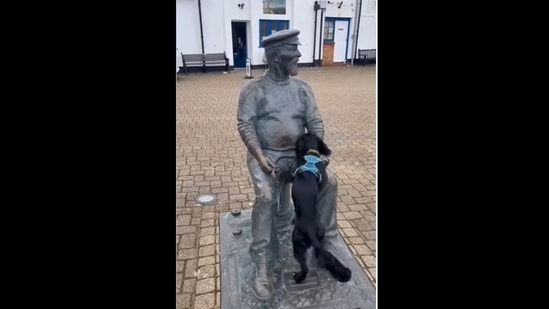 The dog tried to play with a statue and it's too adorable to miss.&nbsp;(goodnews_movement/Instagram)