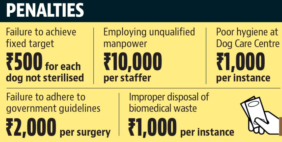 Chandigarh MC has put in place stringent conditions in the contract to verify the sterilisation claims of the contractor. (HT) Chandigarh MC has put in place stringent conditions in the contract to verify the sterilisation claims of the contractor. (HT)