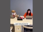 The image, taken from the video posted on Instagram, shows a dog studying with its human. (Instagram/@magnusthetherapydog) The image, taken from the video posted on Instagram, shows a dog studying with its human. (Instagram/@magnusthetherapydog)