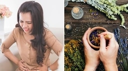 Anything that aggravates pitta can cause UTI according to ayurveda.