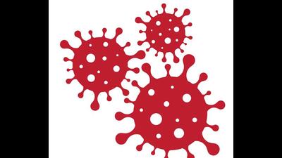 Ludhiana currently has 119 active cases, of which 117 patients are under home isolation and two are undergoing treatment at a private facility (Shutterstock)